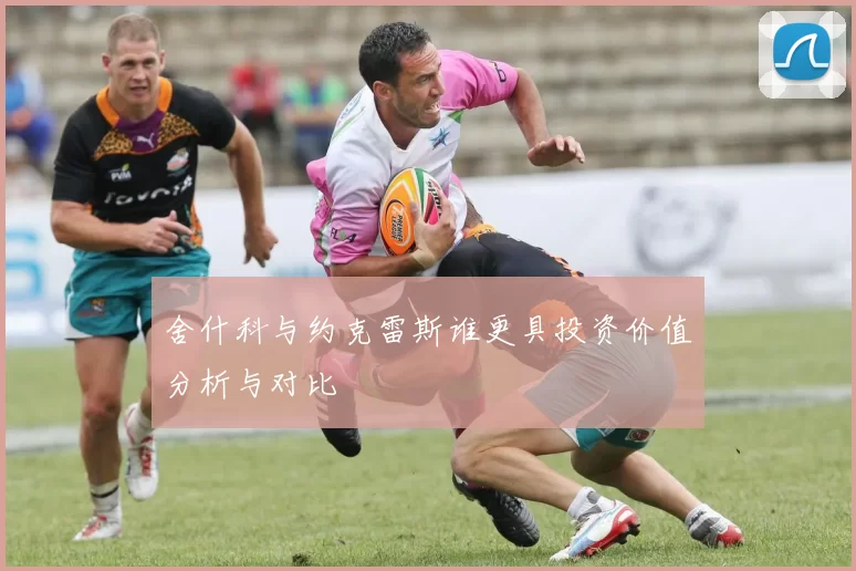 舍什科与约克雷斯谁更具投资价值分析与对比